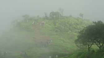 Beautiful Rainy Scenery Wallpaper Which Is Under The