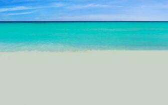 Summer Mac Wallpaper