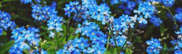 Linkedin Background You Can Use Today