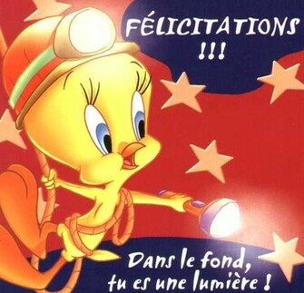 Tweety X Pixels Dec Tweetyzone Visitors Phone Wallpaper