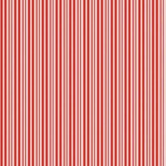 Christmas Candy Canes Photo
