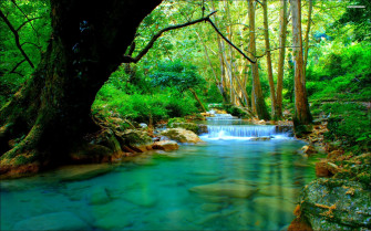 Beautiful River Wallpaper