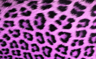 Leopard Print Wallpaper
