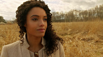 Amaya Jiwe Arrowverse Powered By Wikia