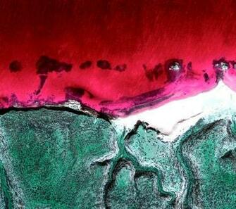 Customize Your Favorite Wallpaper For A Refreshing New