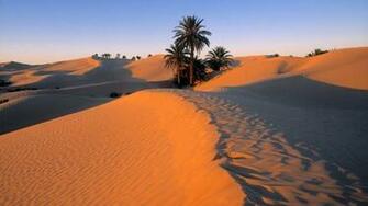 Desert Oasis Wallpaper