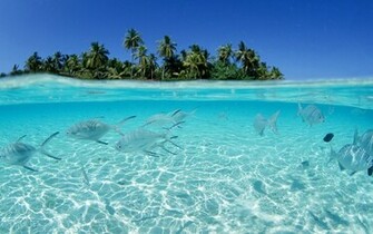 Hawaii Wallpaper Sea HD Desktop Pc