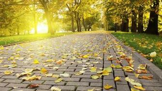 Full Size Nature HD Wallpaper