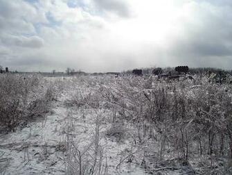 Winter Snow Farm Wallpaper