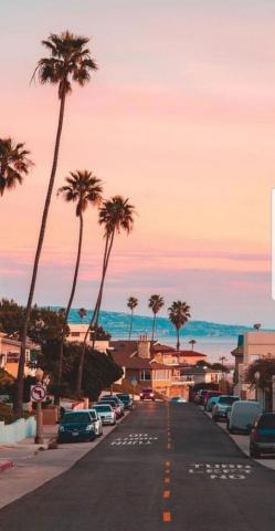 Summer Wallpaper For iPhone Best Background