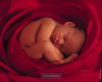 Wallpaper Photo Art Anne Geddes Baby Pictures Photos
