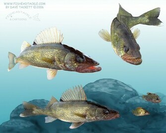 Walleye Clip Art Car Interior Design