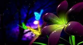 Fantastic Butterfly Screensaver Animated Wallpaper Torrent