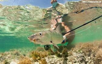 Flats Fishing Wallpaper C Fly Nation