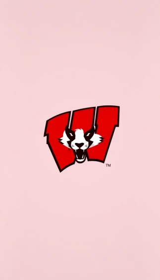 Wisconsin Badgers Computer Wallpaper