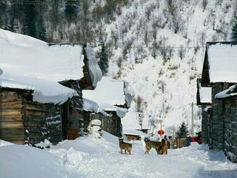 In Village Snowy Wallpaper Snow