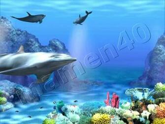 Living 3d Dolphins Animated Wallpaper High Quality Picture