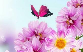 Flower Background Wallpaper Desktop