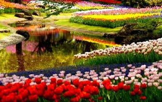 Spring Gardens Apartments Windows Theme And Wallpaper