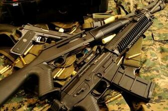 Explore The Collection Weapons Assault Rifle
