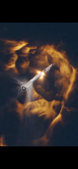 Elon Musk On X S T Co 8olfuknmna