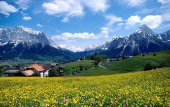 France Landscape Flower Farm Wallpaper City