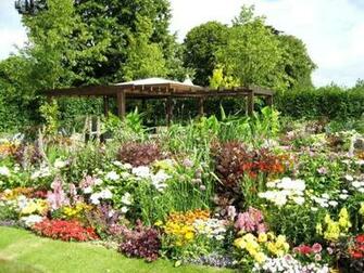 Vegetable Garden Wallpaper Odd