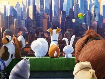The Secret Life Of Pets Movies HD Wallpaper