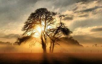 High Resolution Wallpaper You Are Ing The Nature