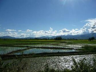 Laos Wallpaper