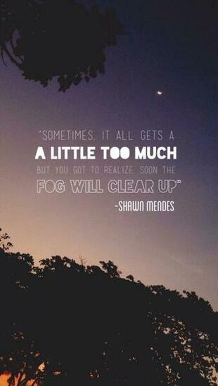 Samiam1112 A Little Too Much Shawn Mendes
