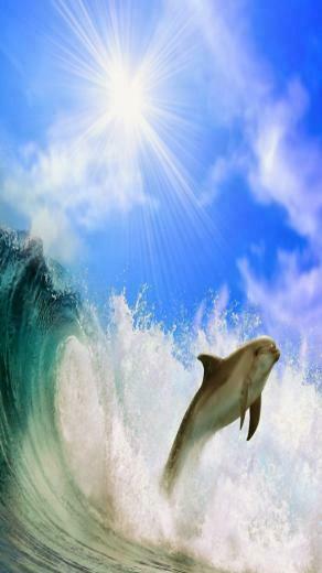 All Image Wallpaper Samsung Galaxy S4 Beautiful HD