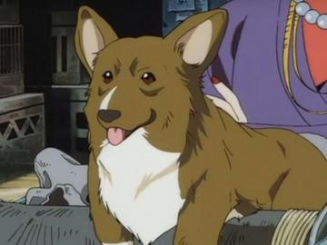 Netflix Gives Cowboy Bebop Fans Hope By Casting Actual Corgi As
