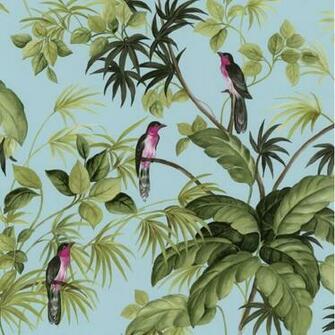 International Tropical Exotic Birds Trees Leaves Wallpaper