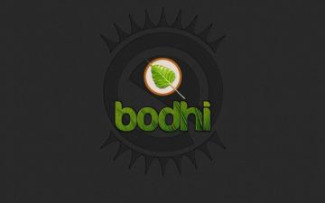 Wallpaper Bodhi Linux Grey