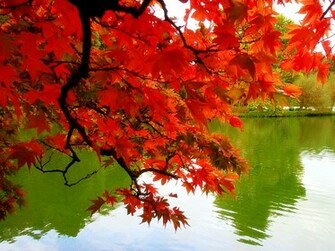 Fall Desktop Wallpaper S
