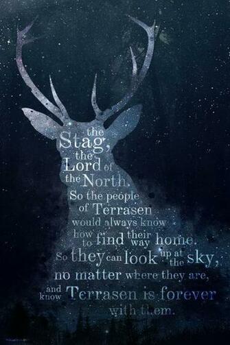 Wyress Throne Of Glass The Stag Constellation Books