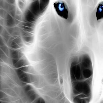 Wolf Live Wallpaper Android Themes V Night