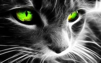 Green Eyes Wallpaper