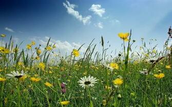 Spring Desktop Wallpaper Amazing Collection