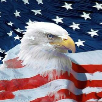 American Eagle Wallpaper Background Holiday