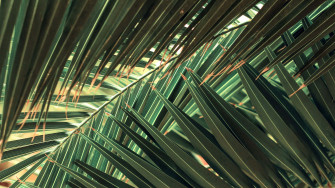 Tropical Leaves Desktop Wallpaper