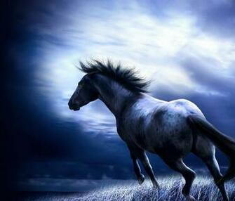 Dark Horse Wallpaper Screensaver Pre Id