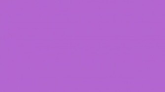 Lilac Solid Color Background And The Below