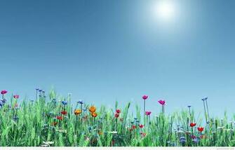 Nature Wallpaper Flowers Spring Image