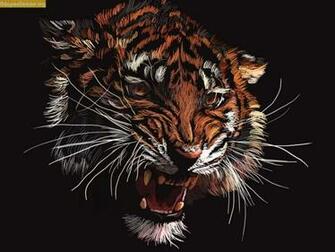 Fondo De Pantalla Tigre Salvaje Pc Wallpaper Gratis