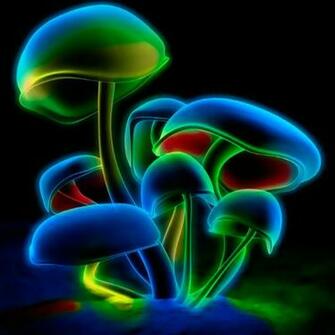 Mushroom Neon Live Wallpaper Kb Version For