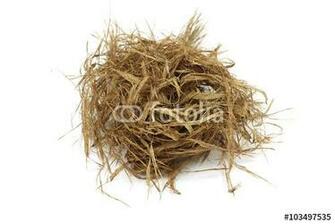 Old Wood Fiber On A White Background Imagens E Fotos De Stock