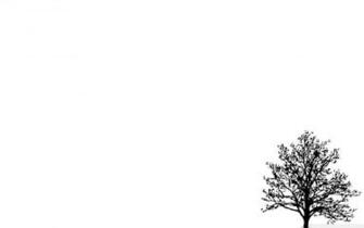 White Minimalist Wallpaper Top