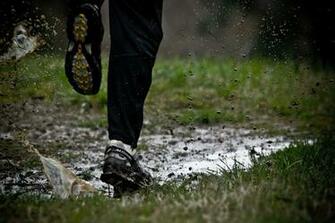 Trail Running Wallpaper F43 Shannon Rogers